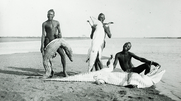 Un fonds photographique sur l'Afrique aux Archives de la Haute-Garonne