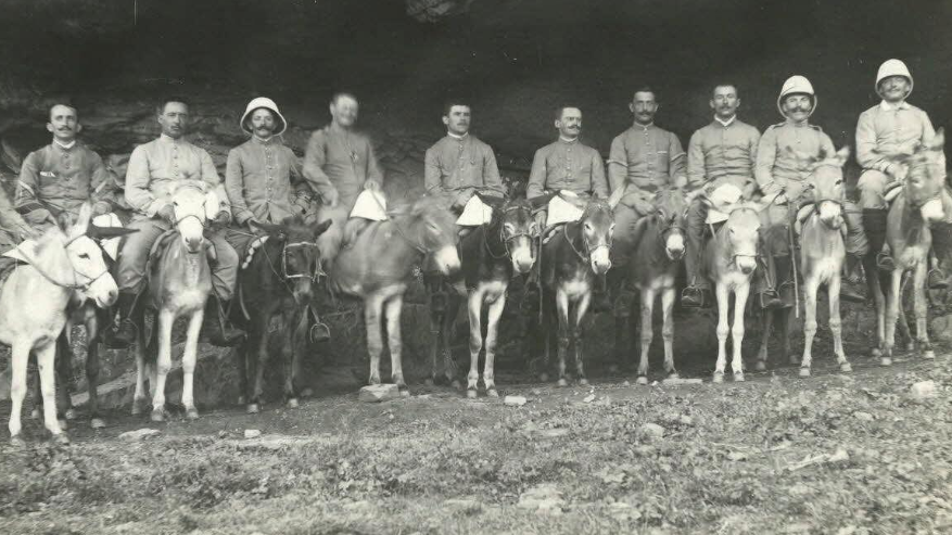 Les animaux soldats de la Première guerre mondiale