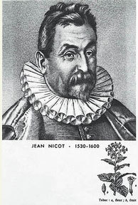 Jean Nicot, sieur de Villemain
