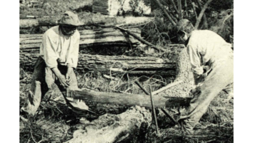 Quelques aspects de l'économie forestière landaise 1840-1940