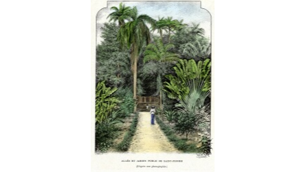 Le jardin des plantes de Saint-Pierre (1803-1902)