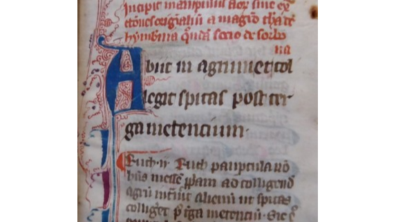 Parchemins et Manuscrits des six abbayes cisterciennes du Rouergue